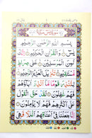 Surah Yaseen | IndoPak Script | With Colour Coded Tajweed