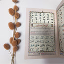 Noorani Qaida | Tajweed Colour coded - (Indo/Pak Script)