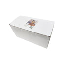 Star Moon Table Lamp