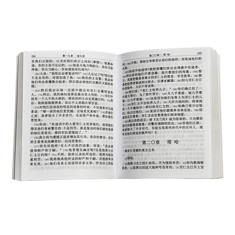 Quran in Chinese