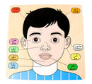 Kids Toy Puzzle – Arabic &amp; English Face Parts Learning Board