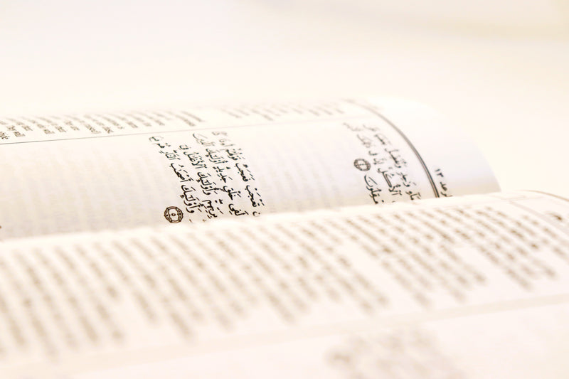 Qur'an with Turkish and English Tafsir