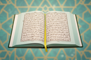 13 Lines Indo/Pak Quran
