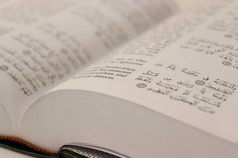 Interpretation of the Meanings of The Noble Qur'an – English Translation