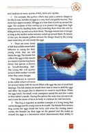 Scientific Miracles in the Oceans and Animals