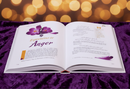 Golden Stories of Muslim Women
