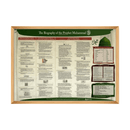 The Biography of Prophet Muhammad ﷺ