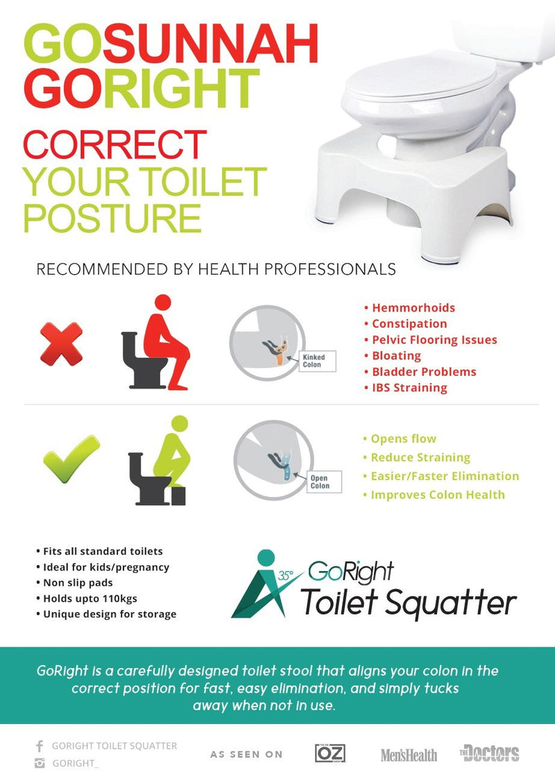 Toilet Squatter